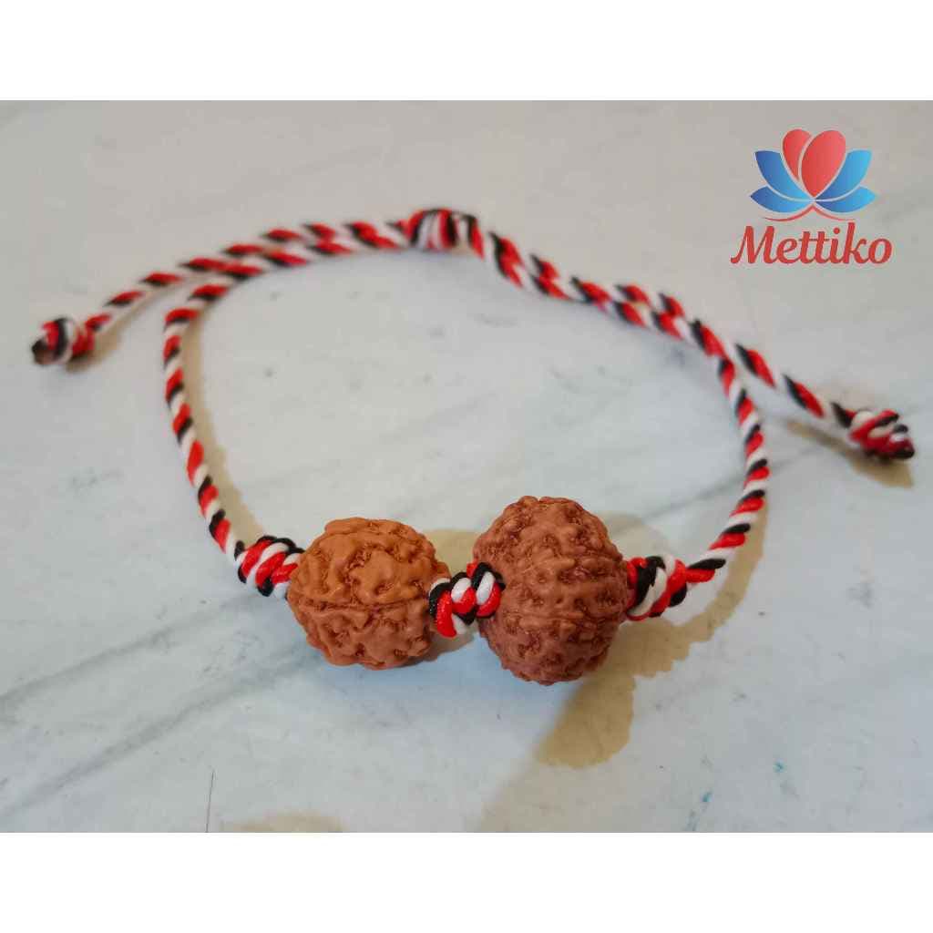 Gelang Remidies Rudraksha / Jenitri Original dengan 2 Mukhi